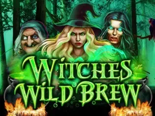 Witches Wild Brew screenshot